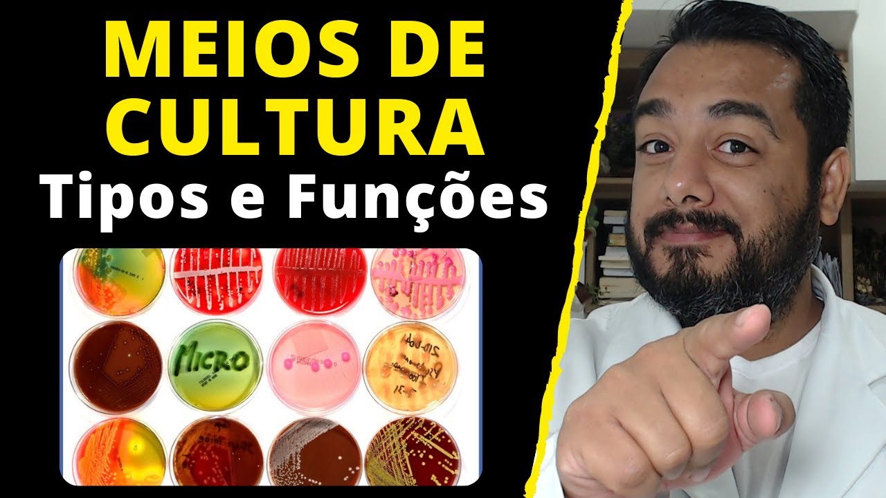Tipos de Meios de Cultura Empregados na Microbiologia Clínica | Cultura de Bactérias e Fungos