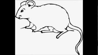 Cazzette - The Rat (Orginal Mix) [HD]