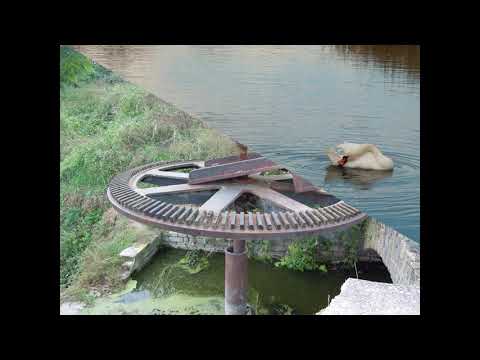 Srbobran-Szenttamás