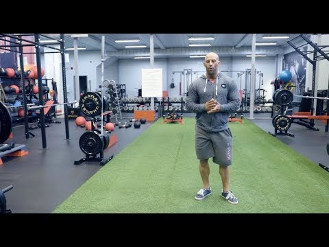 NEUROTYPING - NUTRITION FOR THE TYPE 1B