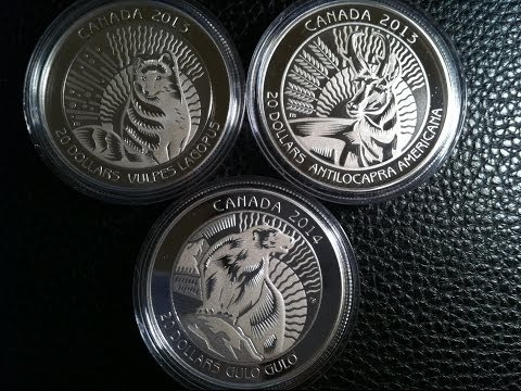 Untamed Canada - $20 Fine Silver Coin Series