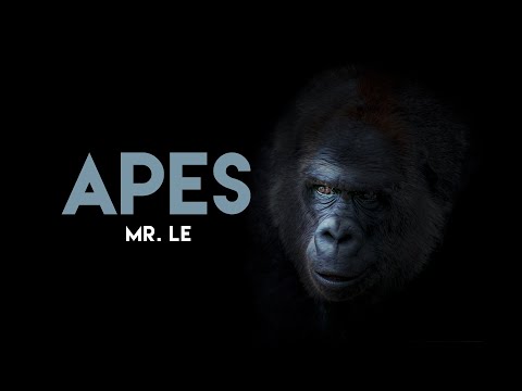 APES 16-1 and 16-2 Screencast v2