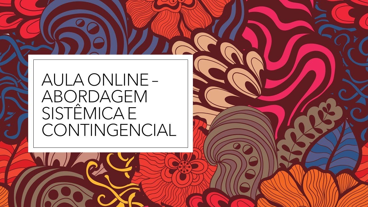 Aula Online -  Abordagem Sistêmica e Contingencial