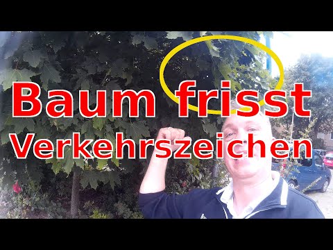 Cottbus Teil 4 - Schrittgeschwindigkeit ohne Ende, Containerschule (Fahrschule)