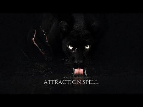 ╭ BLACK CAT ENERGY: HAVE THEM CHASE YOU ✩ SPELL ╮