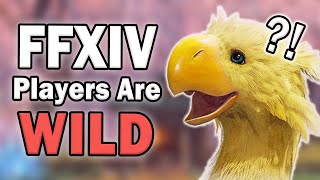 Weirdest Names FFXIV Players Give to Their Chocobos