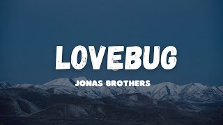 Jonas Brothers - Lovebug (Lyrics) 🍑