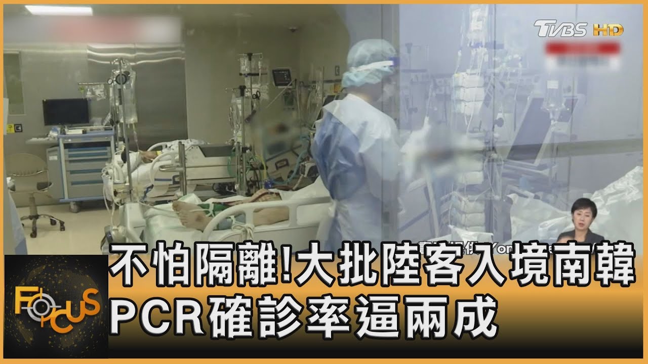 不怕隔離!大批陸客入境南韓 PCR確診率逼兩成