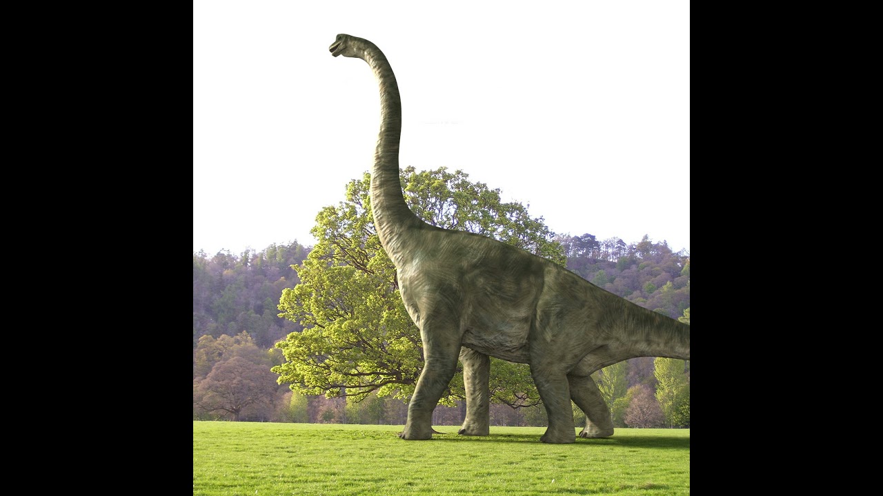 Colossal Dinosaur Pack 8K - totalmente animado Modelo 3D