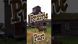 🌾 Prairie Past 🐎 #Shorts