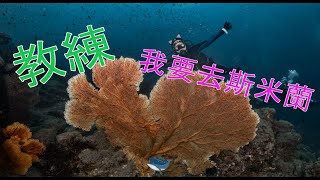 旅拍 | 泰國 | 斯米蘭 | 潛水