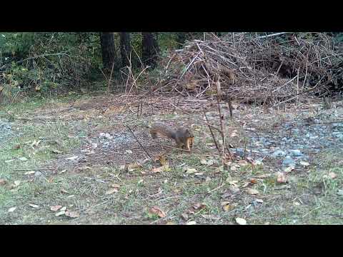 2022 1111 124613 000053