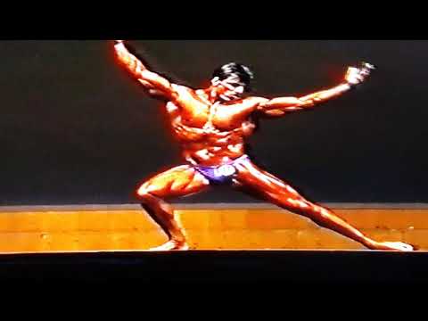 Alfred Neugebauer - EM - 1987