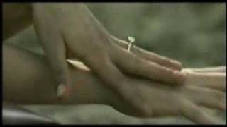 Impact - Clipe (2004)
