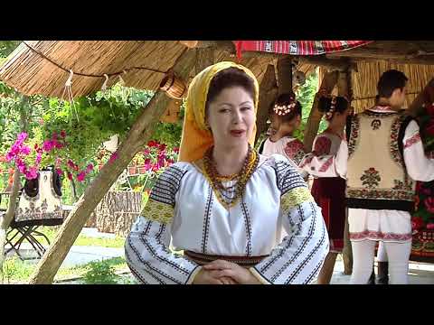 Silvia ZAGOREANU -  De 3 ori pe după masă