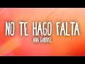 Ana Gabriel - No Te Hago Falta (Letra/Lyrics)