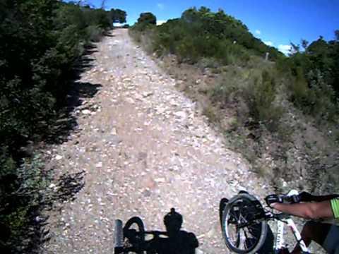 Sassetta -LI- e i suoi dintorni