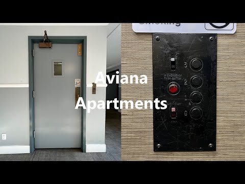 Black COP! Neat IECO Hydraulic Swing Door Elevator - Aviana Apartments, Bldg. 1 - Mountain View, CA