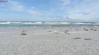 1 h Meeresrauschen Entspannung Wellenrauschen Wellen Strand Meer Ostsee HD