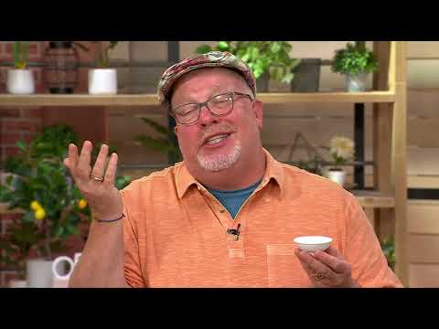 Pork King Good (6) Bags Seasoned Pork Rinds Variety Pack on QVC