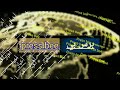 عصابه من القرود تهاجم شبوه اليمنيه..