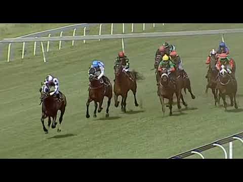 PAMUSHANA'S PRIDE - Derby Trial (L) Turffontein