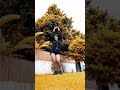 Mallu Girl Hot Dance Kerala Mallu Tiktok Kerala Dance Insta Reels Malayalam Cinema