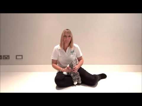 Choking Cat - What to Do | First Aid for Pets