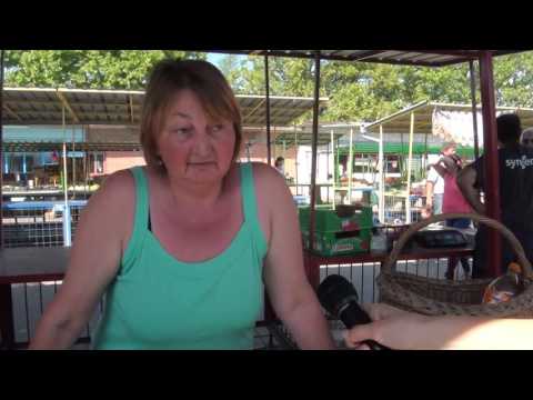 Pijačni dan u Novom Bečeju