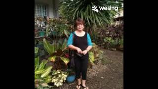 Stand by me...Joseph Vincent