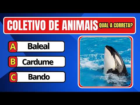VOCÊ SABE QUAL O SUBSTANTIVO COLETIVO DESSES ANIMAIS? Qual é o Coletivo? QUIZ CONHECIMENTOS GERAIS