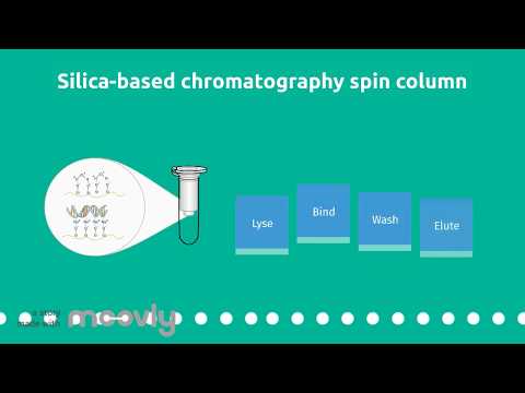 Pre Lab Video: Silica-Based Chromatography Spin Column