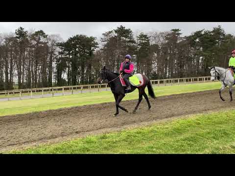 Mustazeed - Warren Hill - 3rd February 2021