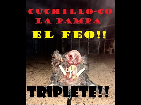 Caza de Jabali - La Pampa