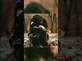 Islamic whatsapp status🌺 islamic sad status🌺 #shorts