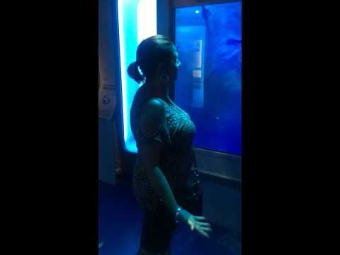 Mulher assusta com ataque de tubarão virtual e leva tombo em museu nos EUA