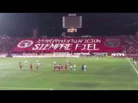 "La Masakr3 - J16 - Club Tijuana VS Puebla" Barra: La Masakr3 • Club: Tijuana