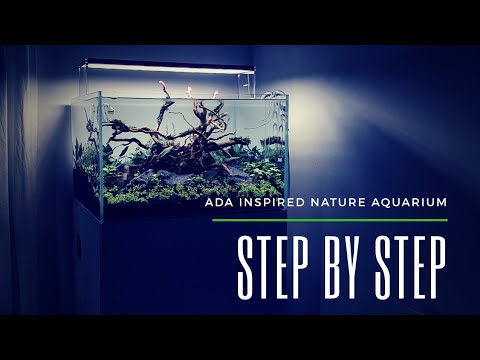 STEP BY STEP OF MY NEWEST AQUASCAPE. HIGH TECH CO2 INJECTED ADA INSPIRED 2020