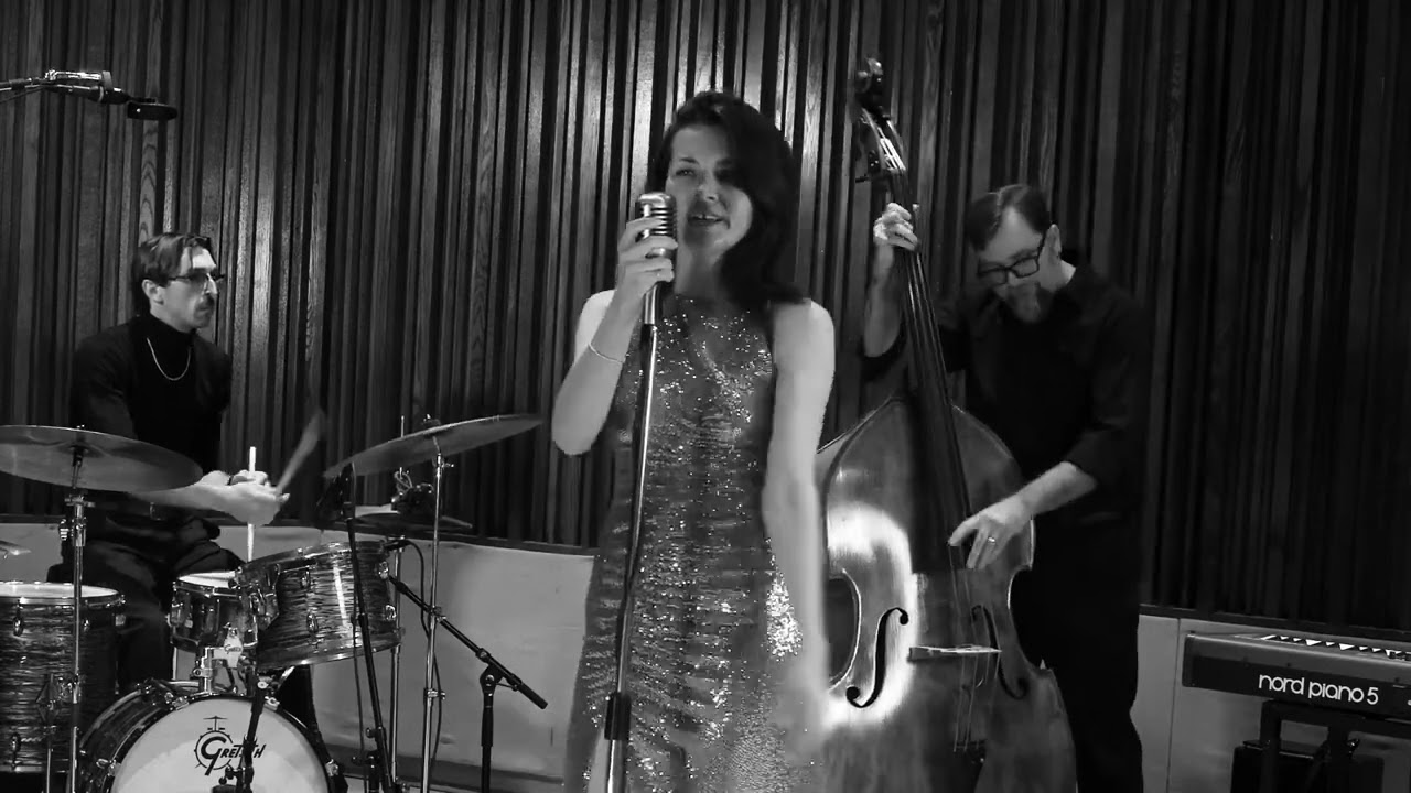 Promotional video thumbnail 3 for The Davies Jazz Duo/Trio/Quartet