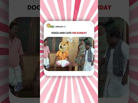 Reel tagged #comedyscenes