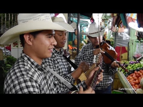 El Trio Valle Dorado toca El Caimán en el Mercado de Álamo Veracruz