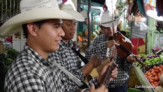 El Trio Valle Dorado toca El Caimán en el Mercado de Álamo Veracruz