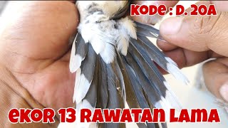 Download lagu Tail 13 Old treatment code: D. 20A mp3
