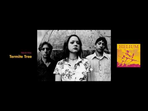 Video thumbnail for Termite Tree