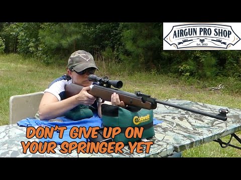 Don't Give Up On Your Springer Yet