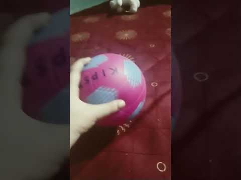 Landmark Deepa Kumar and