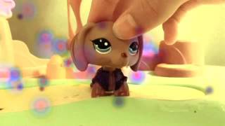 Solid ground by: Kourtney Kelly