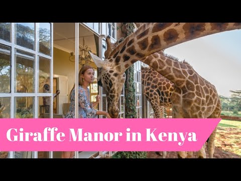 download lagu mp3 mp4 Giraffe Manor Prices 2017, download lagu Giraffe Manor Prices 2017 gratis, unduh video klip Giraffe Manor Prices 2017