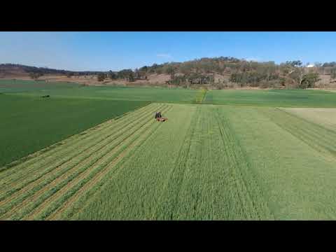 download lagu mp3 mp4 Dictator Barley, download lagu Dictator Barley gratis, unduh video klip Dictator Barley