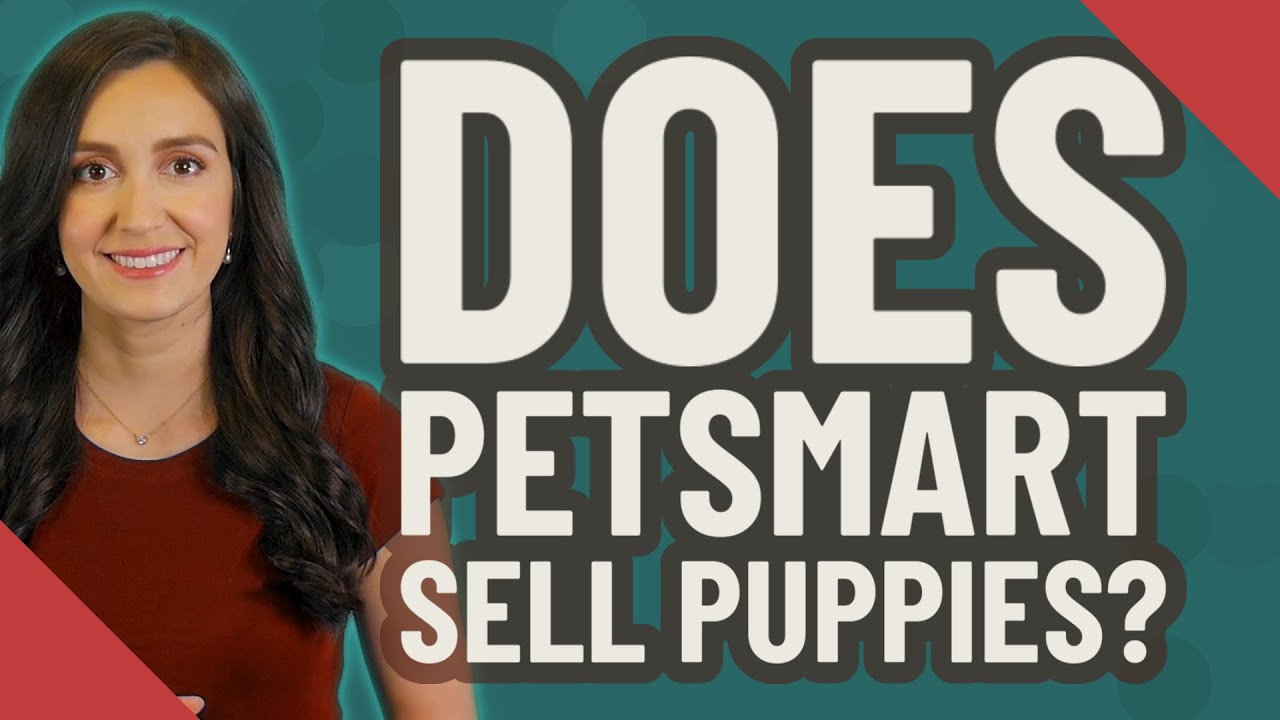 Do they sell puppies at PetSmart?